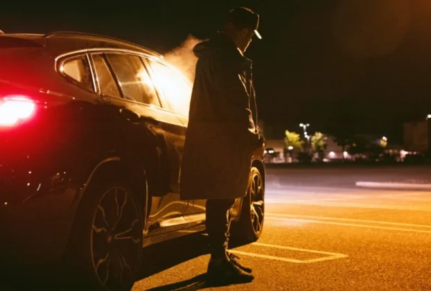 perfis no dogging e dinâmicas de observação